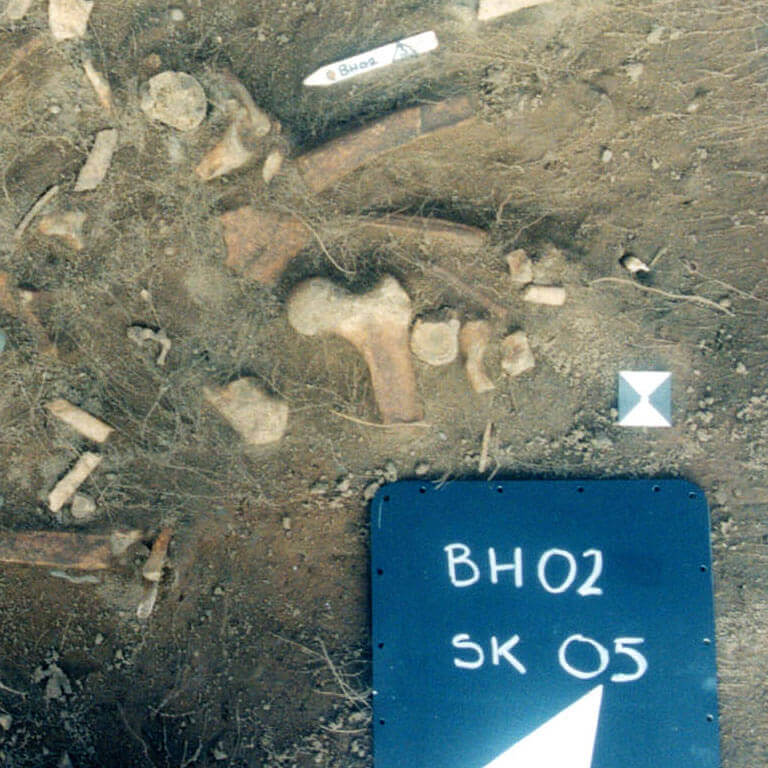 A skeleton with codename umbor as discovered in the bowl hole graveyard