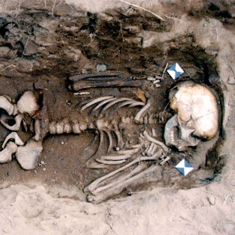 A skeleton with codename Orsorg as discovered in the bowl hole graveyard