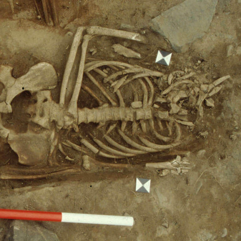 A skeleton with codename oncweðeð as discovered in the bowl hole graveyard