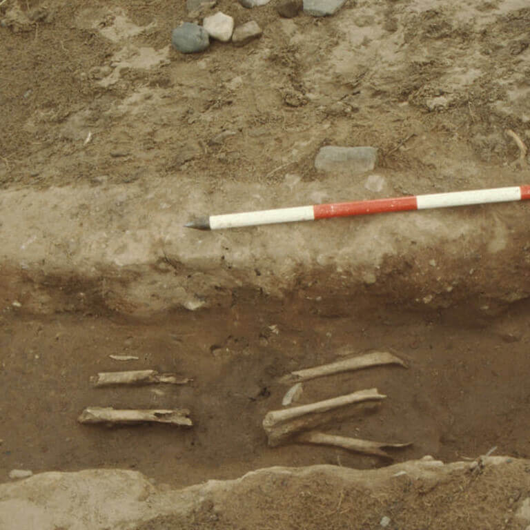 A skeleton with codename brǣċ as discovered in the bowl hole graveyard