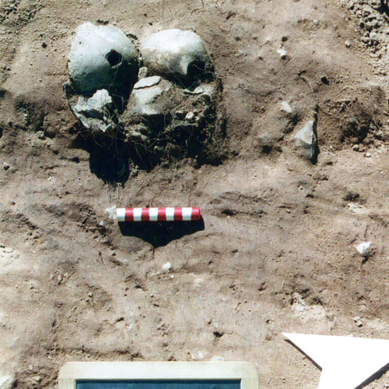 A skeleton with codename Lufu as discovered in the bowl hole graveyard