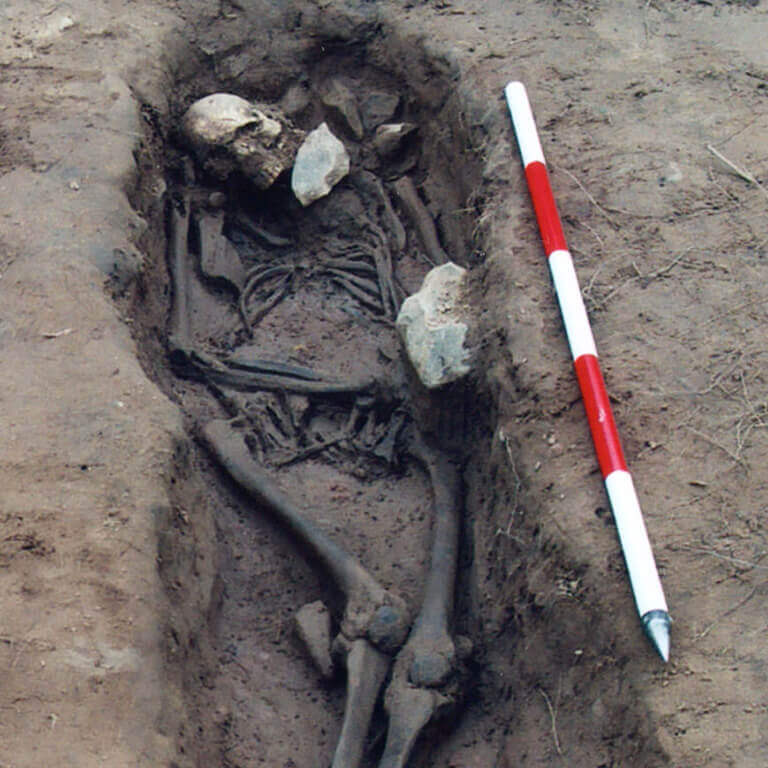 A skeleton with codename Pīp-drēam as discovered in the bowl hole graveyard