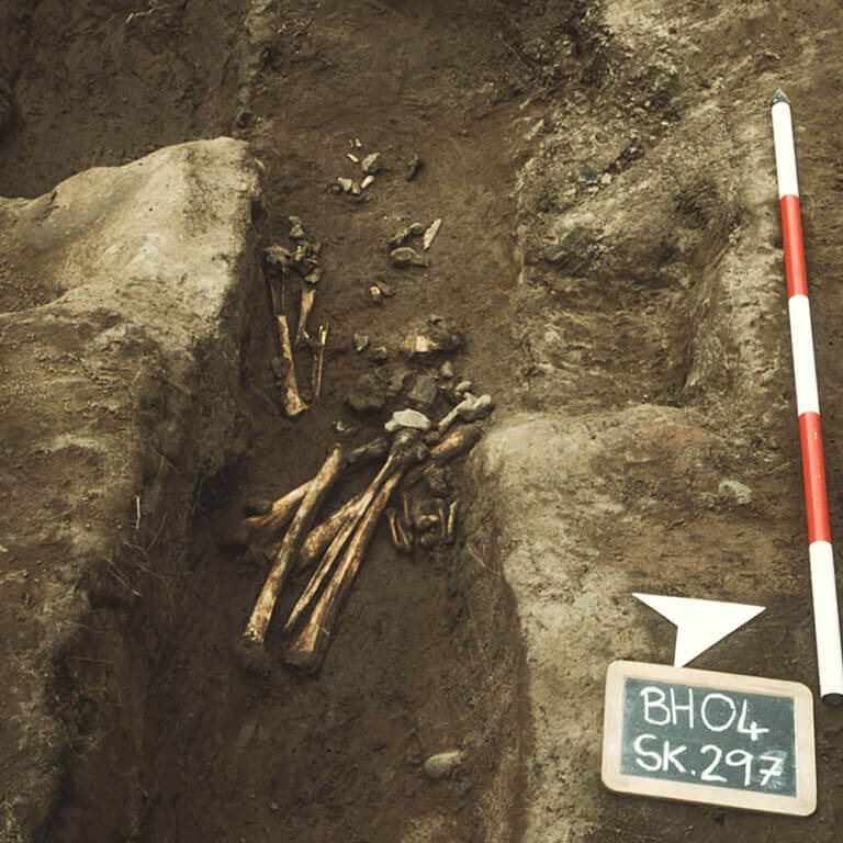 A skeleton with codename Snofliġ as discovered in the bowl hole graveyard