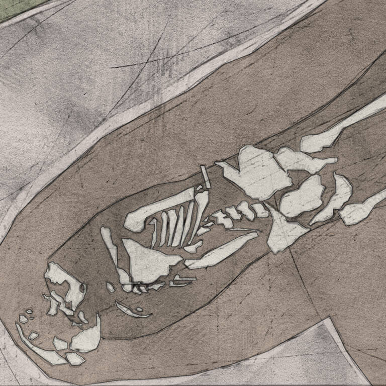 A drawing of skeleton with codename ēðel as discovered in the bowl hole graveyard