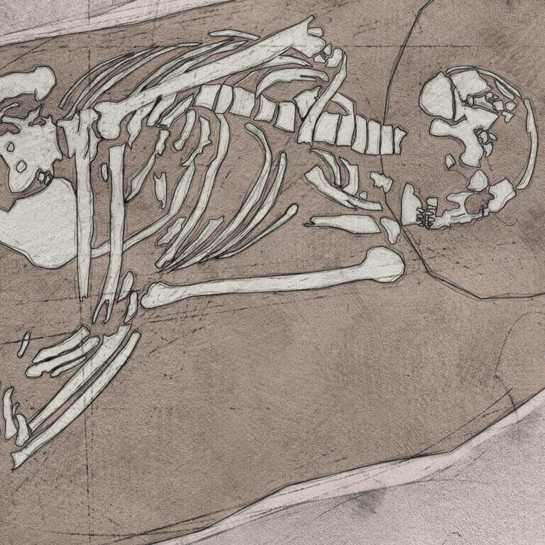 A drawing of skeleton with codename Frēoliċ as discovered in the bowl hole graveyard