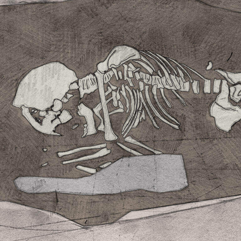 A drawing of skeleton with codename Þēoh as discovered in the bowl hole graveyard