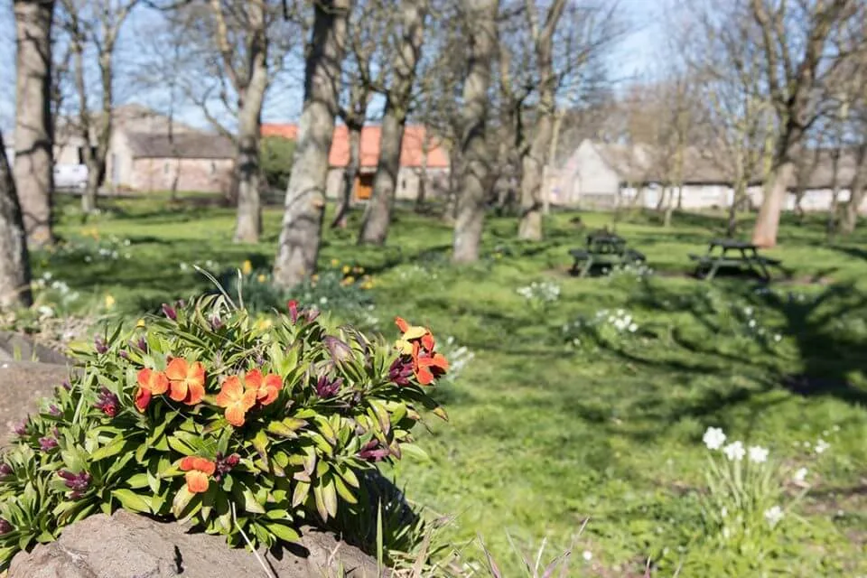 Bamburgh Village Green