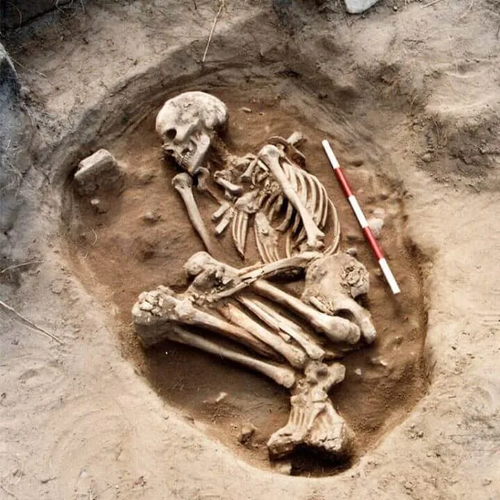 A skeleton in the bowl hole graveyard